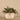 Plants-Artificial Potted Dark Vanilla Leaf Plant-Bloomr