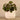 Plants-Artificial Potted Ligularia-Bloomr