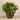 Plants-Artificial Watercress in Metal Vase-Bloomr