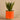 Plants-Potted Aloe-Bloomr