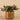 Plants-Artificial Potted Dark Vanilla Leaf Plant-Bloomr