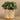 Plants-Artificial Potted Eucalyptus-Bloomr