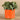 Plants-Artificial Potted Eucalyptus-Bloomr