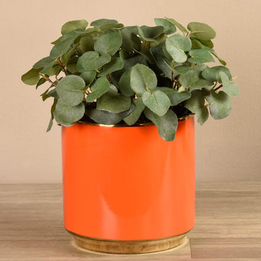 Plants-Artificial Potted Eucalyptus-Bloomr