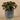 Plants-Artificial Potted Ligularia-Bloomr