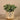 Plants-Artificial Potted Eucalyptus-Bloomr