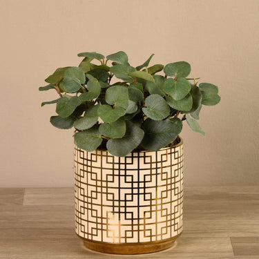Plants-Artificial Potted Eucalyptus-Bloomr
