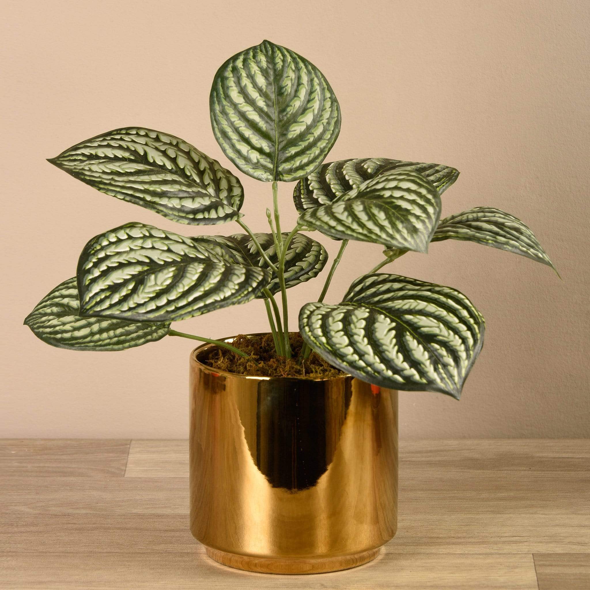 artificial plants in gold pot Artificial Peperomia in Gold Pot – Bloomr