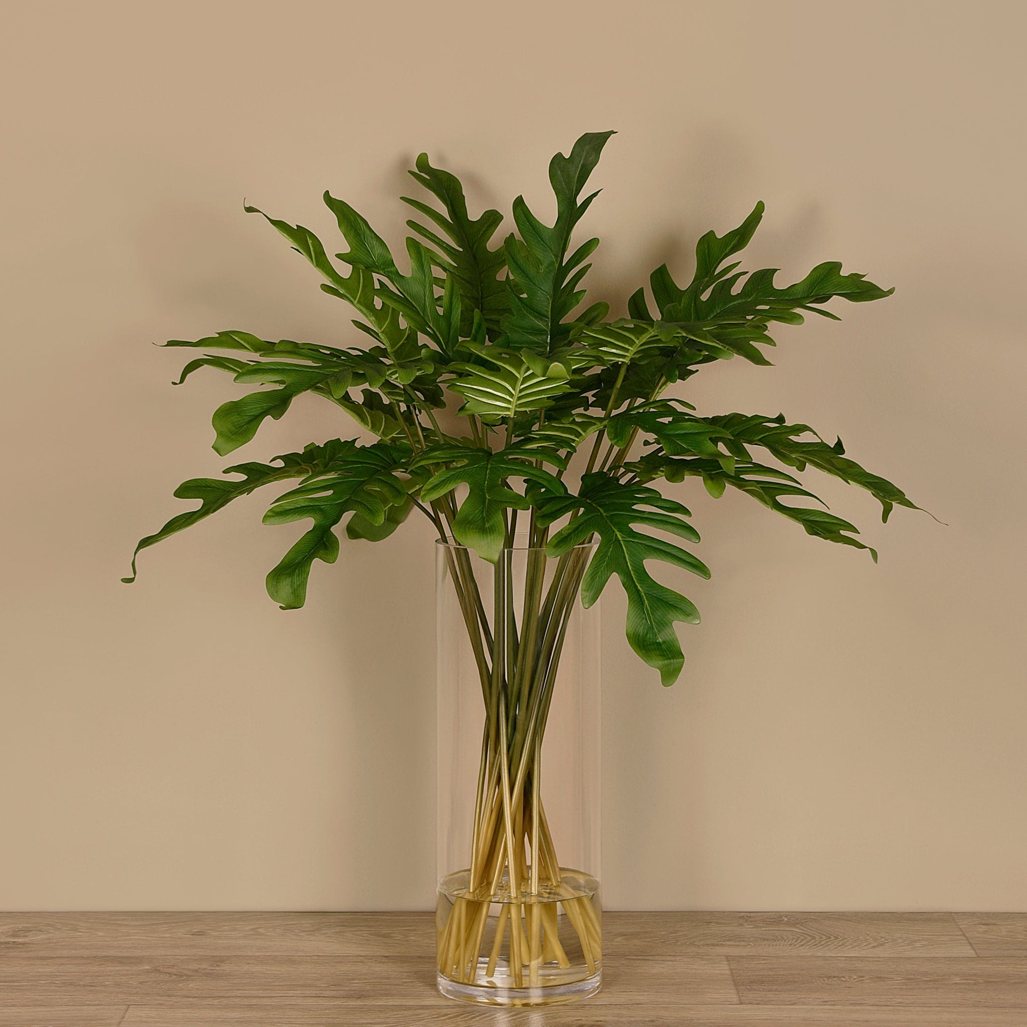 lacy tree philodendrons water vase Philodendron Arrangement in Glass Vase – Bloomr