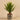 Plants-Artificial Potted Agave-Bloomr