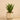 Plants-Artificial Potted Agave-Bloomr