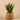 Plants-Artificial Potted Agave-Bloomr