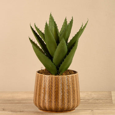 Plants-Artificial Potted Agave-Bloomr