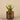 Plants-Artificial Potted Aloe-Bloomr
