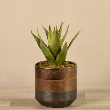 Plants-Artificial Potted Aloe-Bloomr