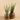 Plants-Artificial Potted Aloe-Bloomr