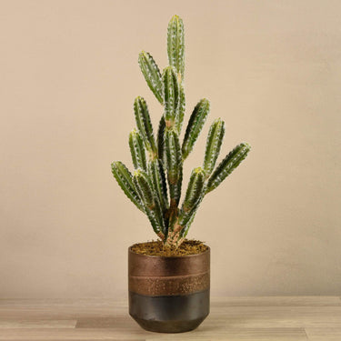 Plants-Artificial Potted Cactus-Bloomr