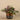 Plants-Artificial Potted Dark Vanilla Leaf Plant-Bloomr