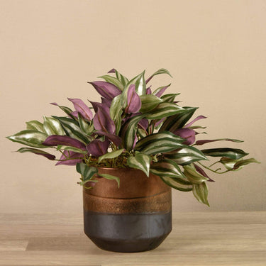 Plants-Artificial Potted Dark Vanilla Leaf Plant-Bloomr