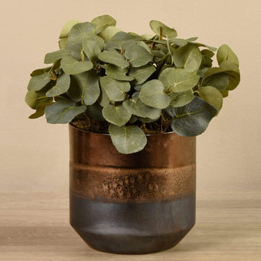 Plants-Artificial Potted Eucalyptus-Bloomr