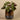 Plants-Artificial Potted Ligularia-Bloomr