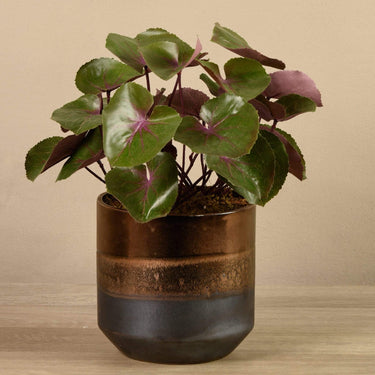 Plants-Artificial Potted Ligularia-Bloomr