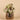Plants-Potted Rex Begonia-Bloomr