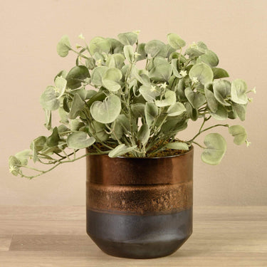 Plants-Artificial Potted Silver Falls-Bloomr