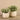 Plants-Potted Silver Fall Plant-Bloomr
