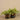 Plants-Artificial Potted Vanilla Leaf Plant-Bloomr