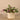 Plants-Artificial Potted Dark Vanilla Leaf Plant-Bloomr