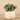 Plants-Artificial Potted Eucalyptus-Bloomr