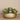 Plants-Artificial Succulent Arrangement-Bloomr