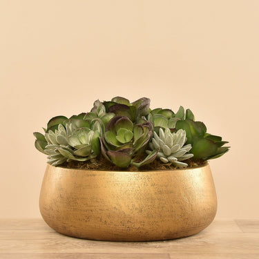 Plants-Artificial Succulent Arrangement-Bloomr