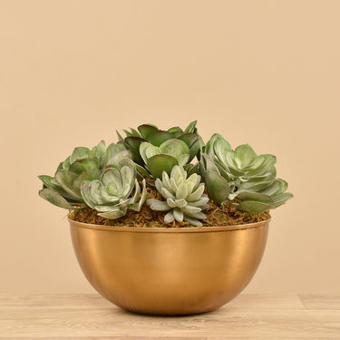 Plants-Artificial Succulent Arrangement-Bloomr