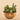 Plants-Artificial Succulent Arrangement-Bloomr