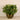 Plants-Artificial Watercress in Metal Vase-Bloomr