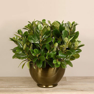 Plants-Artificial Watercress in Metal Vase-Bloomr