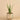 Plants-Artificial Potted Aloe-Bloomr