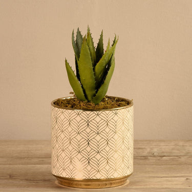 Plants-Artificial Potted Aloe-Bloomr