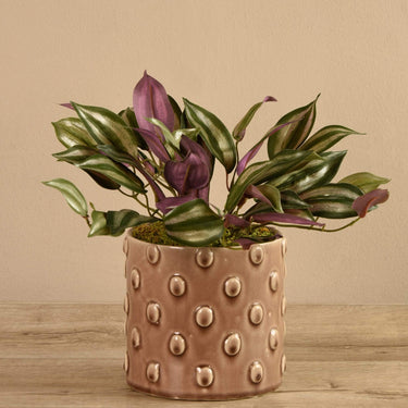 Plants-Artificial Potted Dark Vanilla Leaf Plant (Discontinued)-Bloomr