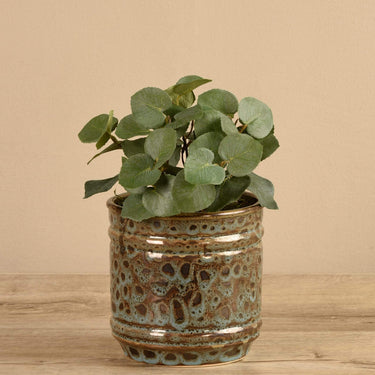 Plants-Artificial Potted Eucalyptus (Discontinued)-Bloomr