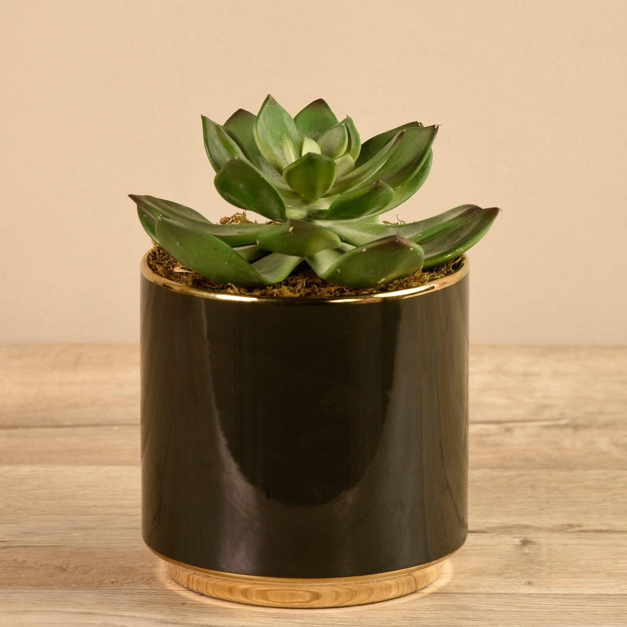 fake black succulents Artificial Succulent in Black Pot – Bloomr