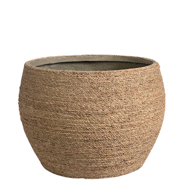 أصيص العشب المجفف