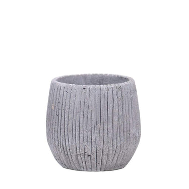 Pots-Cement Pot-Bloomr