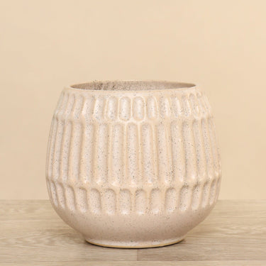 Vases-Ceramic Vase-Bloomr