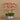 -Orchid Arrangement in Ceramic Vase-Bloomr