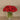 Floral Arrangement-Carnation Arrangement in Glass Vase-Bloomr