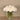 Floral Arrangement-Carnation Arrangement in Glass Vase-Bloomr