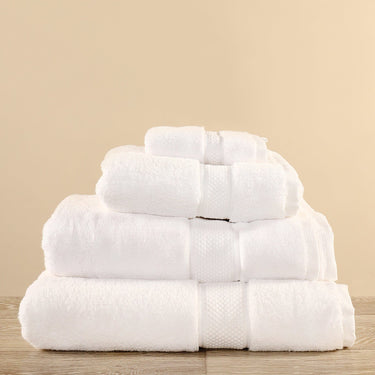 Towel-Towel-Bloomr